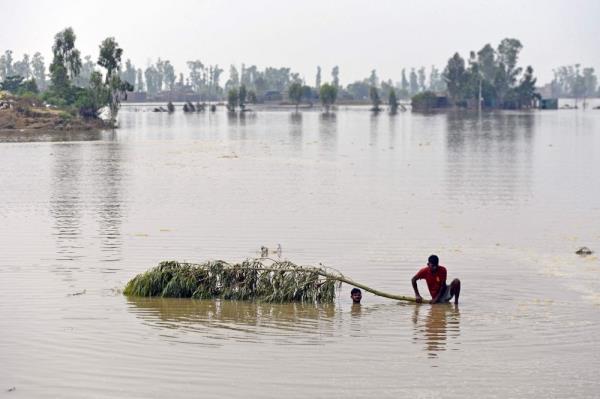 India likely to receive below-average monsoon rains in August